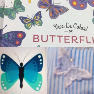 blue-butterflies-more