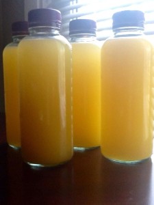 Fermented kefir water