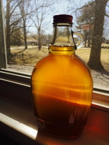 Maple Syrup from our trees